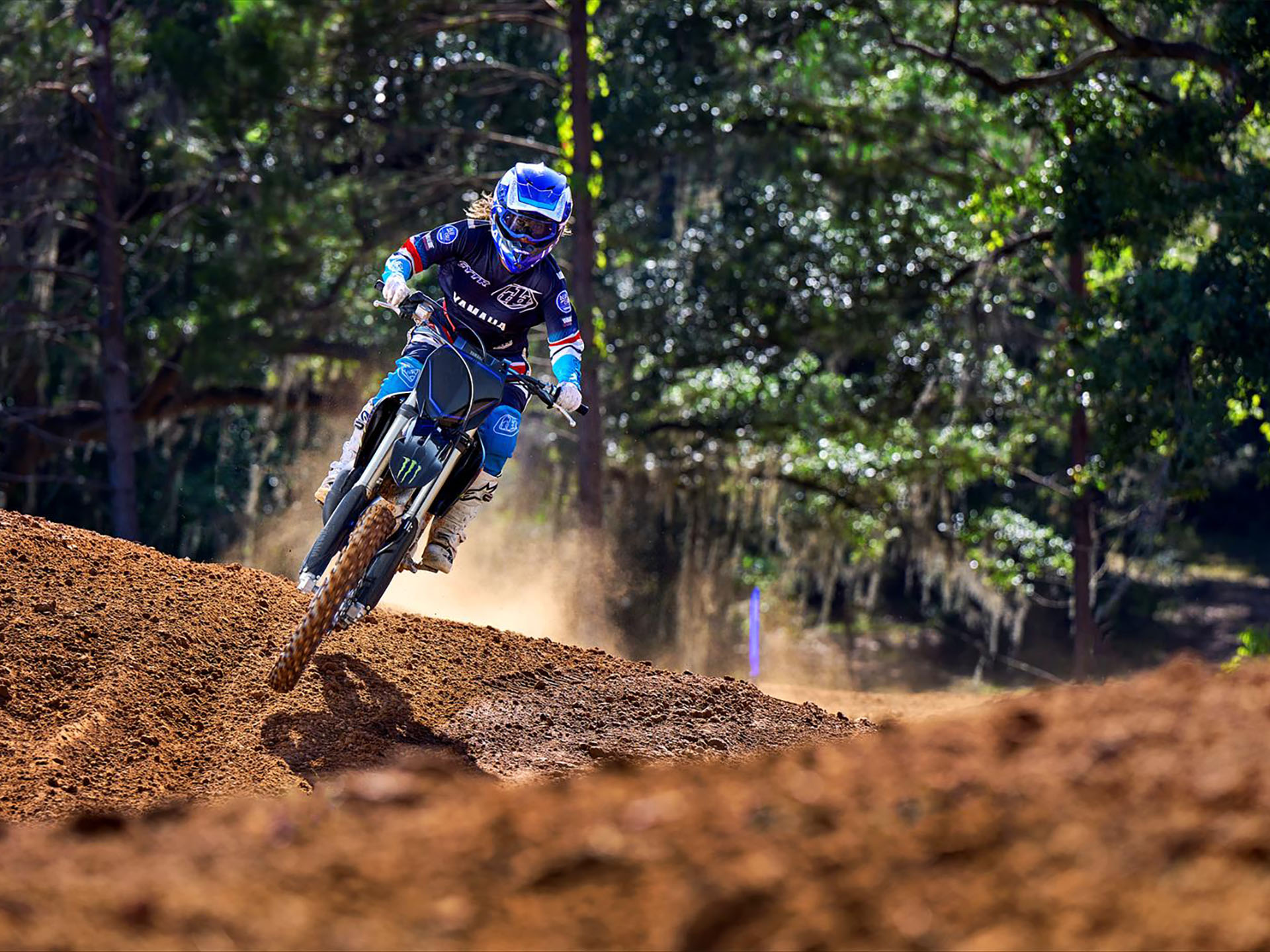 2023 Yamaha YZ125 Monster Energy Yamaha Racing Edition in Moline, Illinois - Photo 7