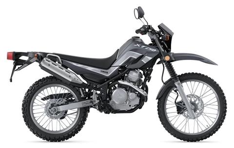 2024 Yamaha XT250 in Moline, Illinois