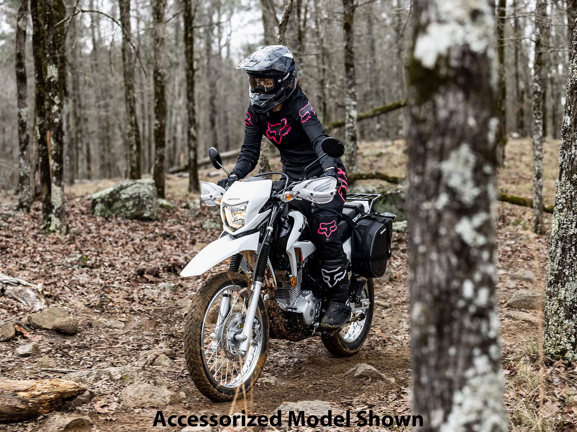 2023 Honda XR150L in Moline, Illinois - Photo 8