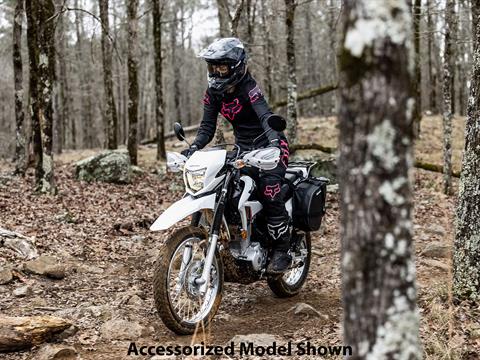 2023 Honda XR150L in Moline, Illinois - Photo 8