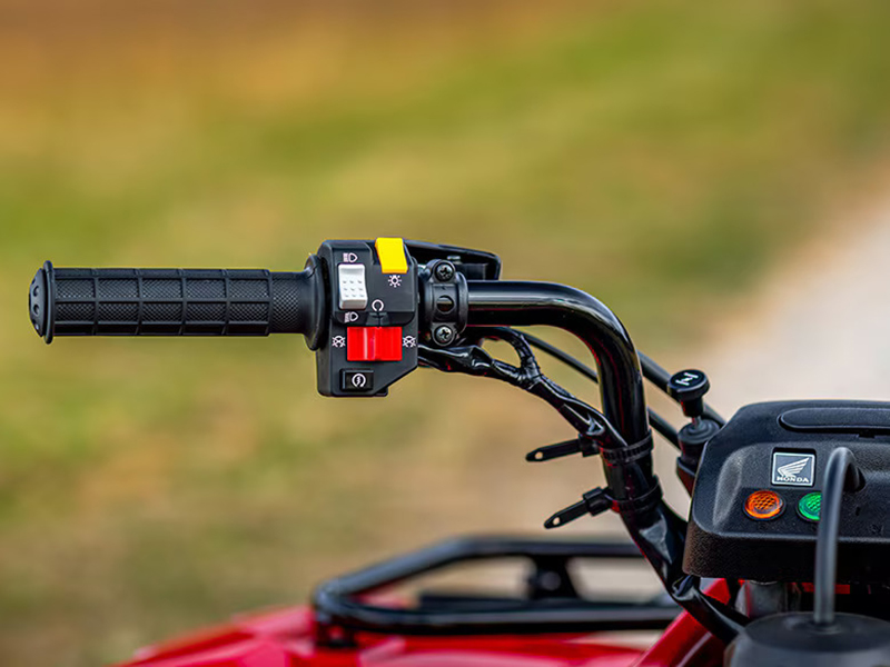 2024 Honda FourTrax Recon in Moline, Illinois - Photo 6