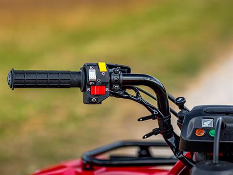2024 Honda FourTrax Recon in Moline, Illinois - Photo 6