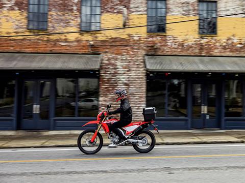 2024 Honda CRF300L ABS in Moline, Illinois - Photo 7
