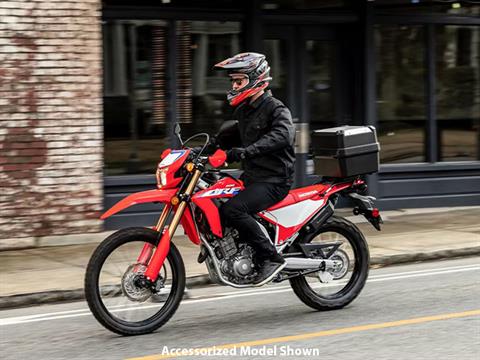2024 Honda CRF300L ABS in Moline, Illinois - Photo 12