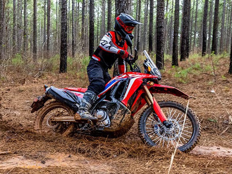 2024 Honda CRF300L Rally in Moline, Illinois - Photo 5