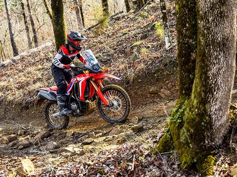 2024 Honda CRF300L Rally in Moline, Illinois - Photo 7