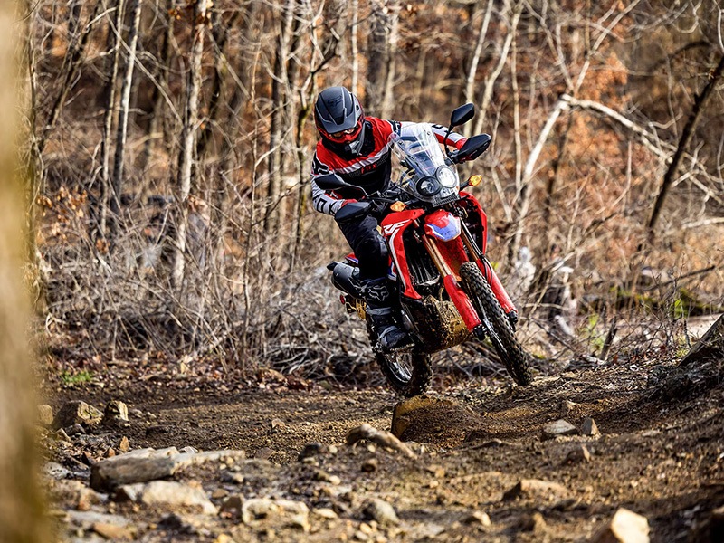 2024 Honda CRF300L Rally in Moline, Illinois - Photo 8