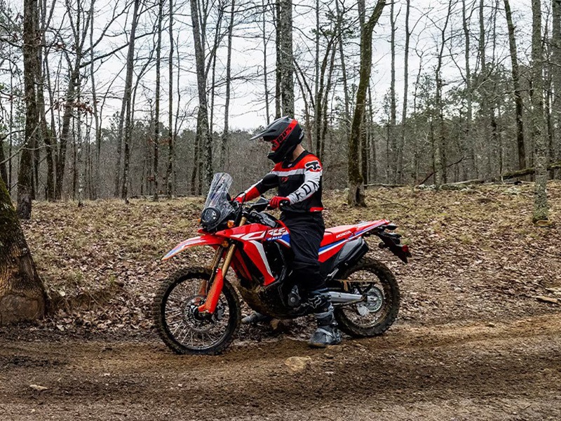 2024 Honda CRF300L Rally in Moline, Illinois - Photo 12
