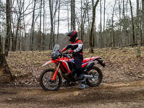 2024 Honda CRF300L Rally in Moline, Illinois - Photo 12