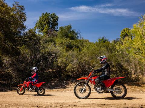 2025 Honda CRF50F in Moline, Illinois - Photo 6