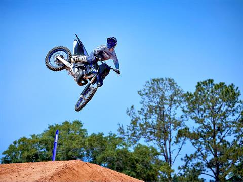 2023 Yamaha YZ250 Monster Energy Yamaha Racing Edition in Moline, Illinois - Photo 4