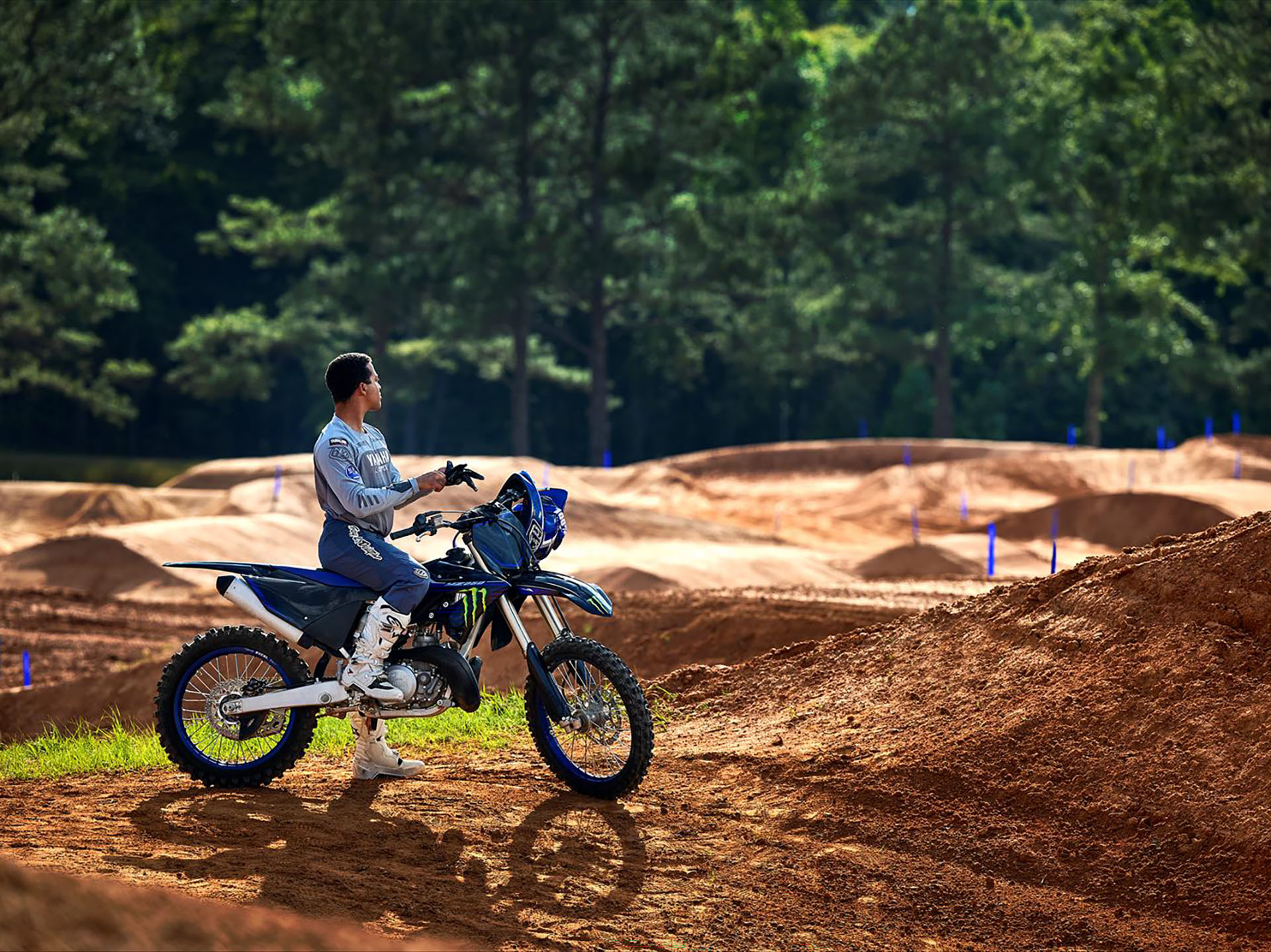 2023 Yamaha YZ250 Monster Energy Yamaha Racing Edition in Moline, Illinois - Photo 15