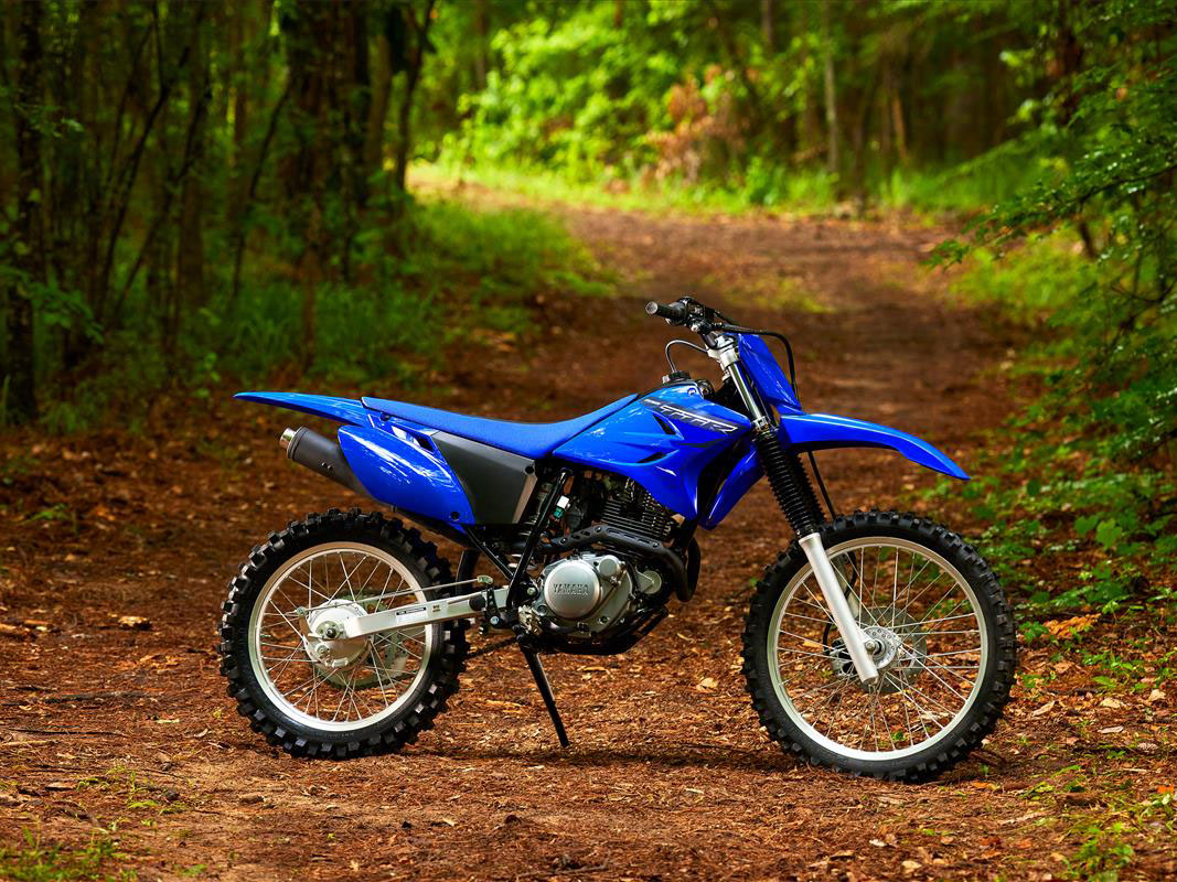 2023 Yamaha TT-R230 in Moline, Illinois - Photo 6