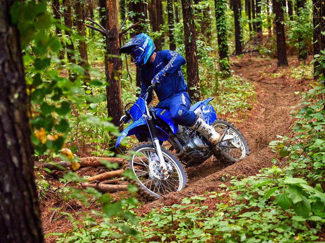 2023 Yamaha TT-R230 in Moline, Illinois - Photo 12