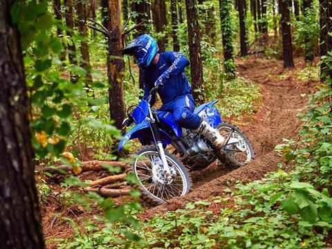 2023 Yamaha TT-R230 in Moline, Illinois - Photo 12