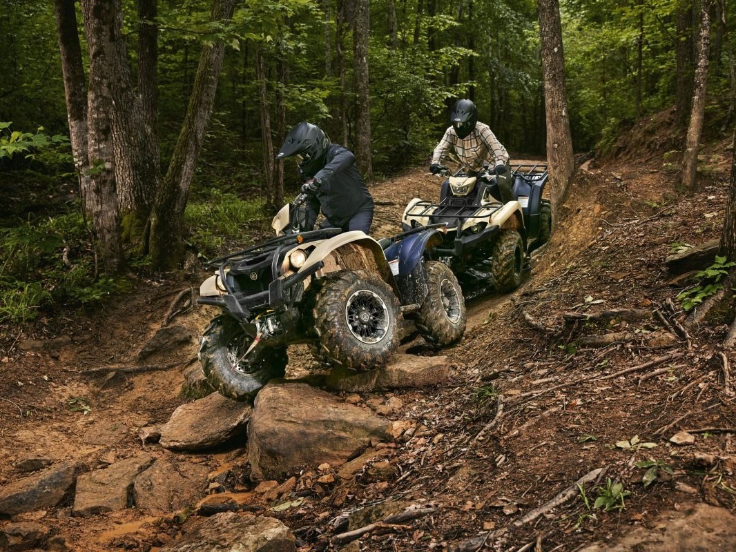 2024 Yamaha Kodiak 700 EPS SE in Moline, Illinois - Photo 7