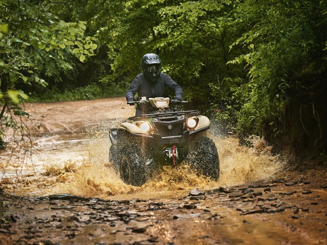 2024 Yamaha Kodiak 700 EPS SE in Moline, Illinois - Photo 10
